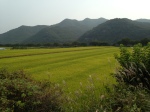 Korean countryside.