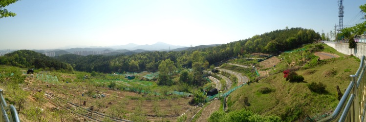 Korean Countryside - May