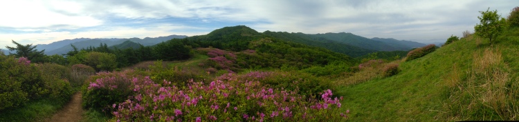 Jiri National Park - May