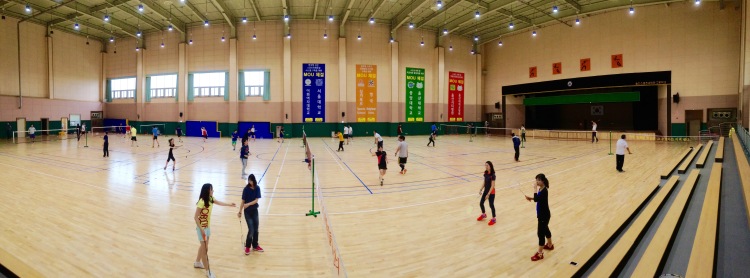 Badminton Tournament with Coworkers - July
